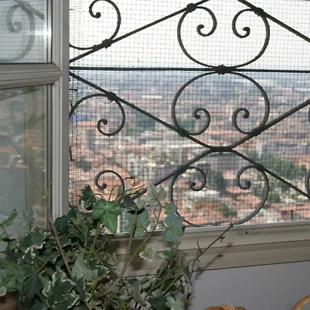 Гостевой дом La Luna Blu In Old Town 3*